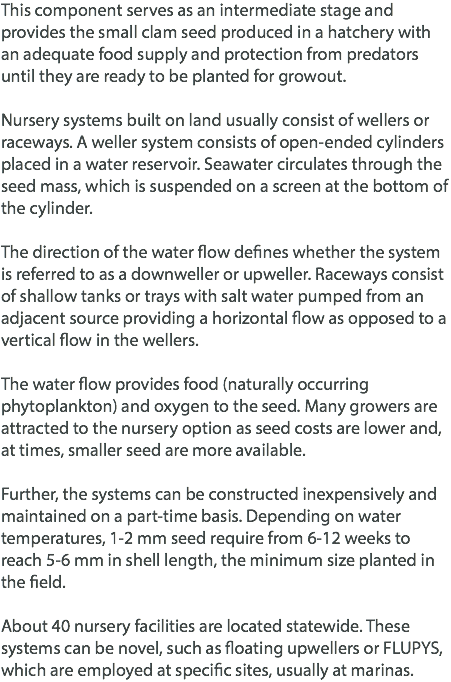 This component serves as an intermediate stage and provides the small clam seed produced in a hatchery with an adequate food supply and protection from predators until they are ready to be planted for growout. Nursery systems built on land usually consist of wellers or raceways. A weller system consists of open-ended cylinders placed in a water reservoir. Seawater circulates through the seed mass, which is suspended on a screen at the bottom of the cylinder. The direction of the water flow defines whether the system is referred to as a downweller or upweller. Raceways consist of shallow tanks or trays with salt water pumped from an adjacent source providing a horizontal flow as opposed to a vertical flow in the wellers. The water flow provides food (naturally occurring phytoplankton) and oxygen to the seed. Many growers are attracted to the nursery option as seed costs are lower and, at times, smaller seed are more available. Further, the systems can be constructed inexpensively and maintained on a part-time basis. Depending on water temperatures, 1-2 mm seed require from 6-12 weeks to reach 5-6 mm in shell length, the minimum size planted in the field. About 40 nursery facilities are located statewide. These systems can be novel, such as floating upwellers or FLUPYS, which are employed at specific sites, usually at marinas.