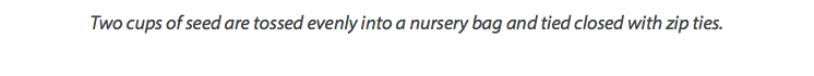 Two cups of seed are tossed evenly into a nursery bag and tied closed with zip ties. 