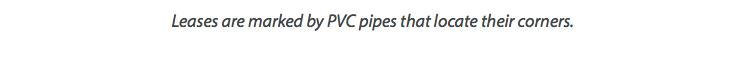 Leases are marked by PVC pipes that locate their corners.