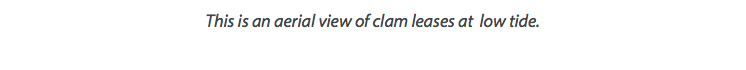 This is an aerial view of clam leases at low tide.