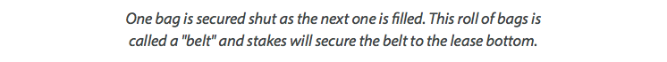 One bag is secured shut as the next one is filled. This roll of bags is called a "belt" and stakes will secure the belt to the lease bottom.